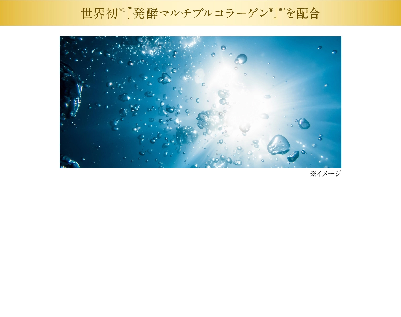 世界初 『発酵マルチプルコラーゲン』を配合
