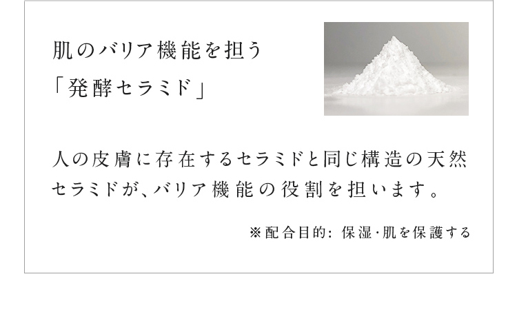 ̃oA@\SuyZ~hv l̔畆ɑ݂Z~hƓ\̓VRZ~hAoA@\̖S܂BzړIFێEی삷