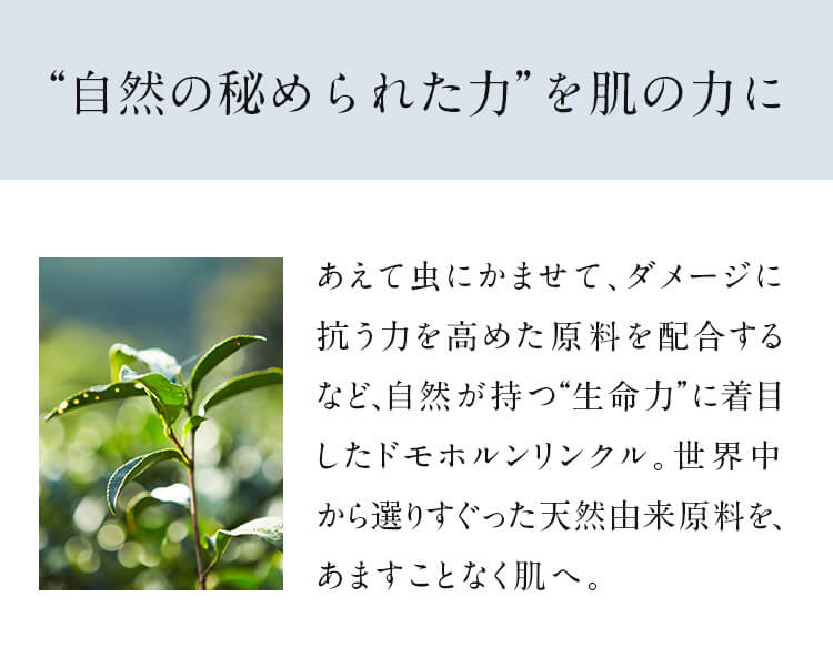 gR̔߂ꂽ́h𔧂̗͂ Ēɂ܂āA_[WɍR͂߂zȂǁARǵhɒڂhzNBEenI肷VRRA܂ƂȂցB